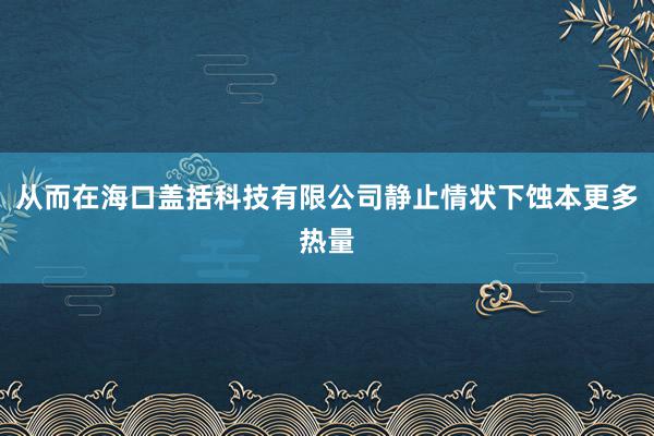 从而在海口盖括科技有限公司静止情状下蚀本更多热量