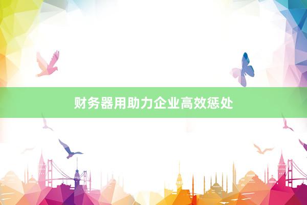 财务器用助力企业高效惩处